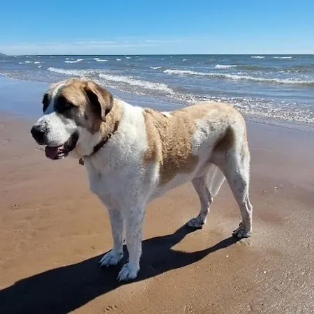 Дом отдыха Peaceful Countryside Retreat Near Beach/lakes *