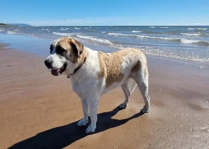 Дом отдыха Peaceful Countryside Retreat Near Beach/lakes *