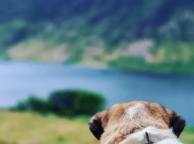 Peaceful Countryside Retreat Near Beach/lakes Distington