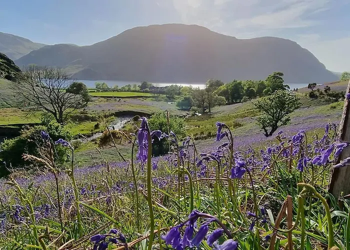 Peaceful Countryside Retreat Near Beach/lakes