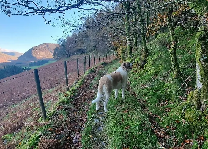 Peaceful Countryside Retreat Near Beach/lakes *